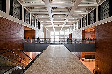 这届粉丝太强了 玩家自制《任天堂明星大乱斗Melee》新斗士Mod