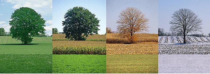 《机甲战魔 神话之裔》免费更新第二弹上线！新增头目与多项优化内容同步登场！